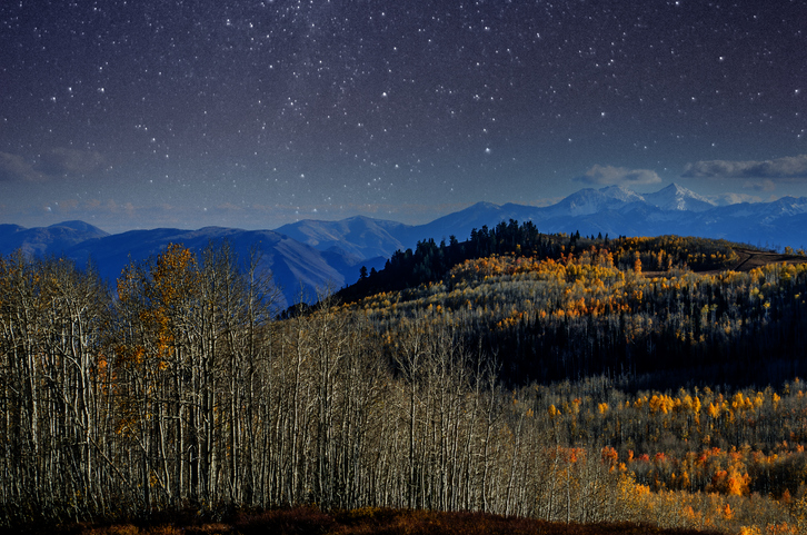 aspen under stars